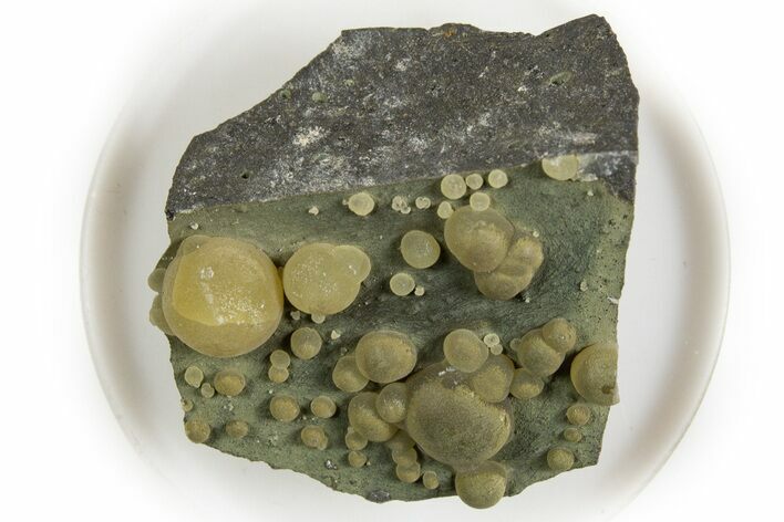 Globular Yellow Calcite Formations on Basalt - Italy #325618